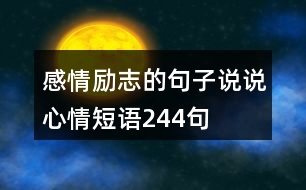 感情勵(lì)志的句子說說心情短語(yǔ)244句