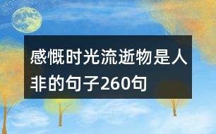 感慨時(shí)光流逝物是人非的句子260句