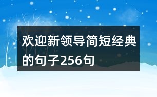 歡迎新領(lǐng)導(dǎo)簡(jiǎn)短經(jīng)典的句子256句