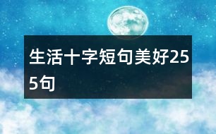 生活十字短句美好255句