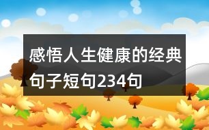 感悟人生健康的經(jīng)典句子短句234句