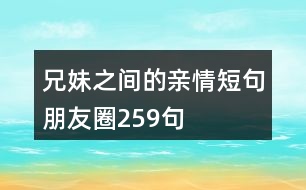 兄妹之間的親情短句朋友圈259句