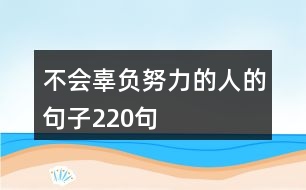 不會辜負(fù)努力的人的句子220句