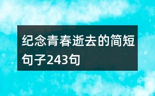 紀念青春逝去的簡短句子243句