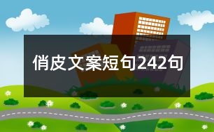 俏皮文案短句242句