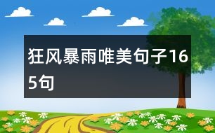 狂風暴雨唯美句子165句