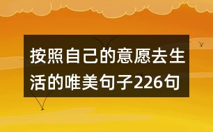 按照自己的意愿去生活的唯美句子226句