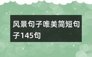 風景句子唯美簡短句子145句