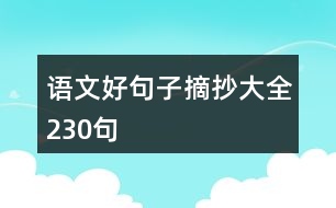 語(yǔ)文好句子摘抄大全230句