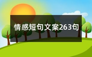 情感短句文案263句