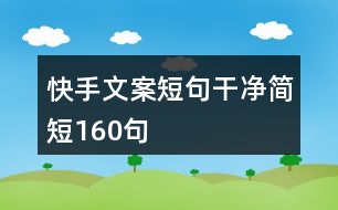 快手文案短句干凈簡(jiǎn)短160句