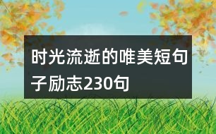 時(shí)光流逝的唯美短句子勵(lì)志230句