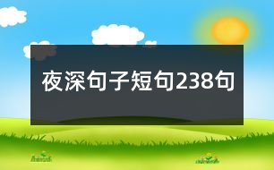 夜深句子短句238句