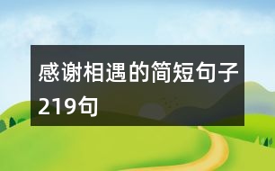 感謝相遇的簡短句子219句