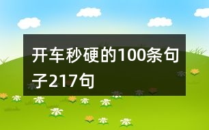 開車秒硬的100條句子217句