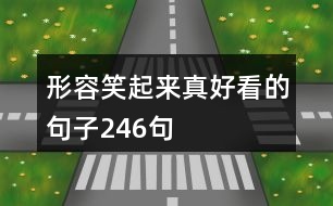 形容笑起來(lái)真好看的句子246句