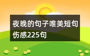 夜晚的句子唯美短句傷感225句