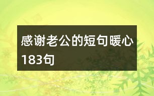 感謝老公的短句暖心183句