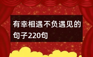 有幸相遇,不負(fù)遇見的句子220句