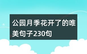 公園月季花開了的唯美句子230句