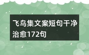 飛鳥集文案短句干凈治愈172句