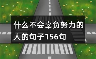 什么不會辜負努力的人的句子156句