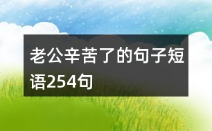 老公辛苦了的句子短語(yǔ)254句