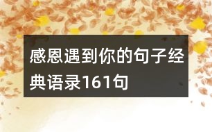 感恩遇到你的句子經(jīng)典語(yǔ)錄161句