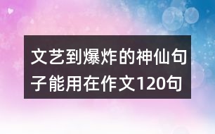 文藝到爆炸的神仙句子能用在作文120句