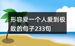 形容愛一個(gè)人愛到極致的句子233句