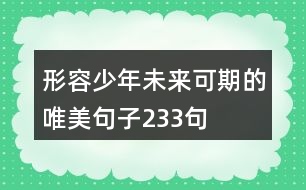 形容少年未來可期的唯美句子233句