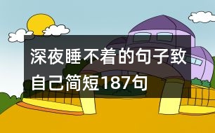 深夜睡不著的句子致自己簡(jiǎn)短187句