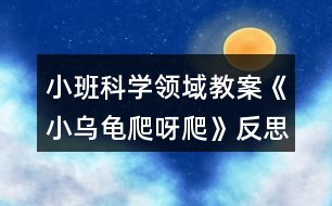 小班科學(xué)領(lǐng)域教案《小烏龜爬呀爬》反思