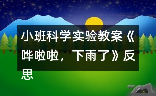 小班科學(xué)實驗教案《嘩啦啦，下雨了》反思