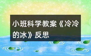 小班科學教案《冷冷的冰》反思