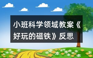 小班科學(xué)領(lǐng)域教案《好玩的磁鐵》反思