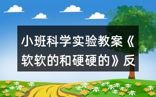 小班科學(xué)實驗教案《軟軟的和硬硬的》反思