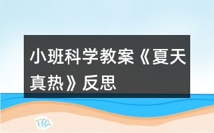 小班科學(xué)教案《夏天真熱》反思