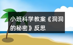 小班科學教案《洞洞的秘密》反思