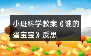 小班科學(xué)教案《誰的蛋寶寶》反思