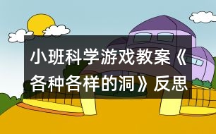 小班科學(xué)游戲教案《各種各樣的洞》反思