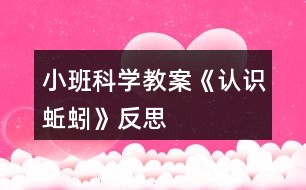 小班科學教案《認識蚯蚓》反思