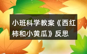 小班科學(xué)教案《西紅柿和小黃瓜》反思