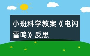 小班科學(xué)教案《電閃雷鳴》反思