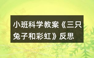 小班科學教案《三只兔子和彩虹》反思