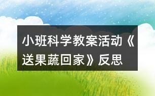 小班科學教案活動《送果蔬回家》反思