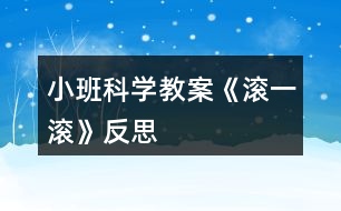 小班科學(xué)教案《滾一滾》反思