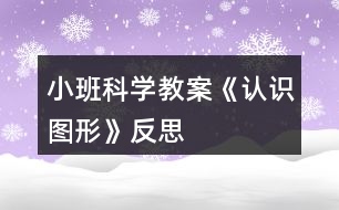 小班科學(xué)教案《認(rèn)識圖形》反思