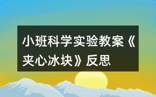 小班科學實驗教案《夾心冰塊》反思