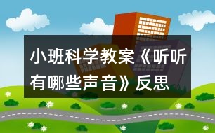 小班科學(xué)教案《聽聽有哪些聲音》反思